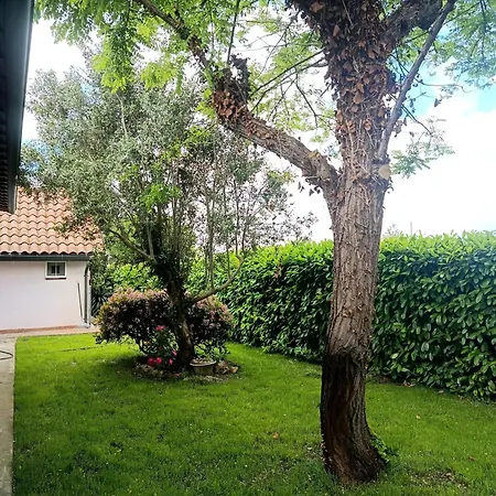 Il Quercetino Di Momo Oda ve Kahvaltı