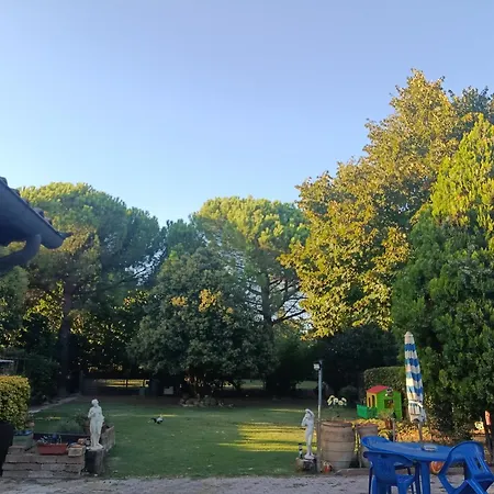 Il Quercetino Di Momo